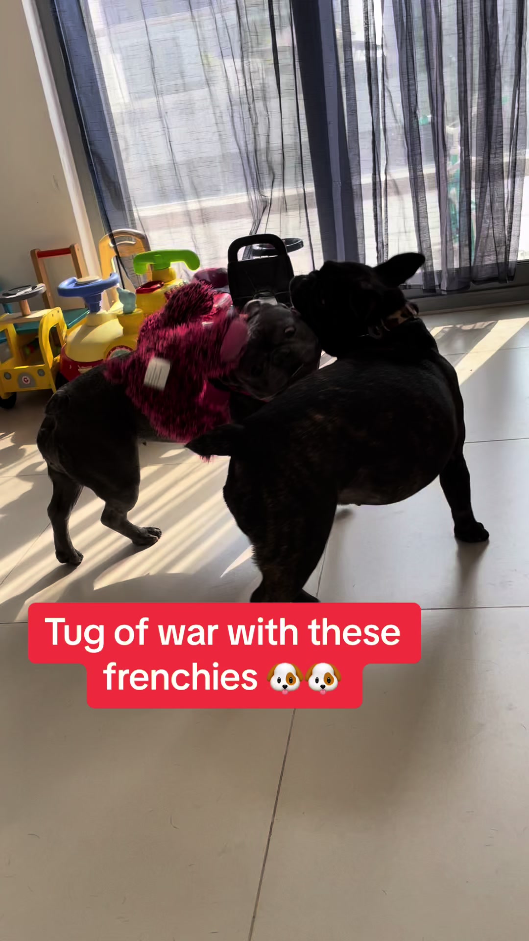 @Feel at HomePetCare