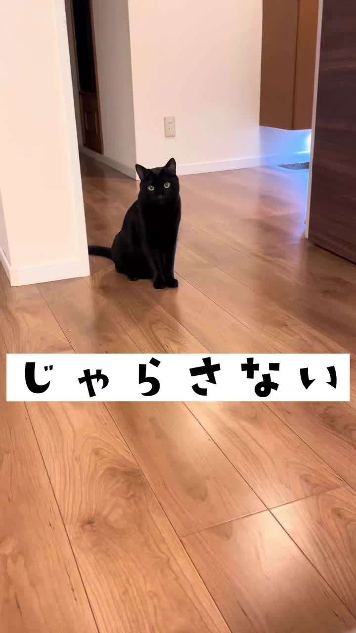 @Chikurokie