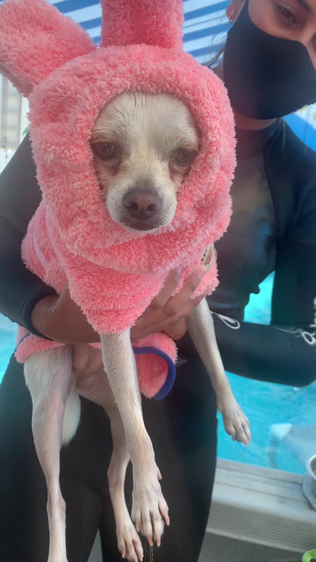 @K9 Massage & Hydrofitness