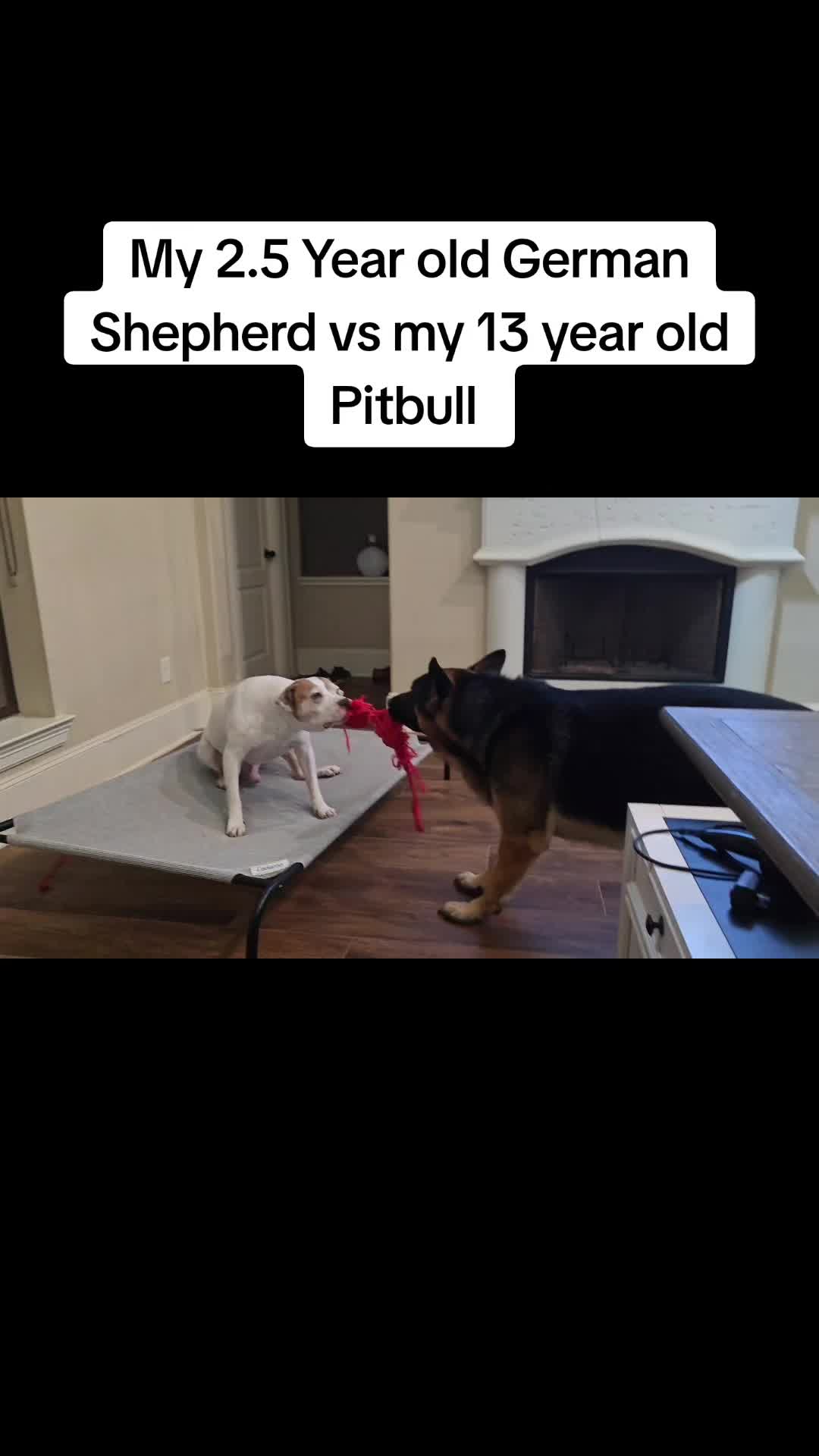 @Chevyspeed