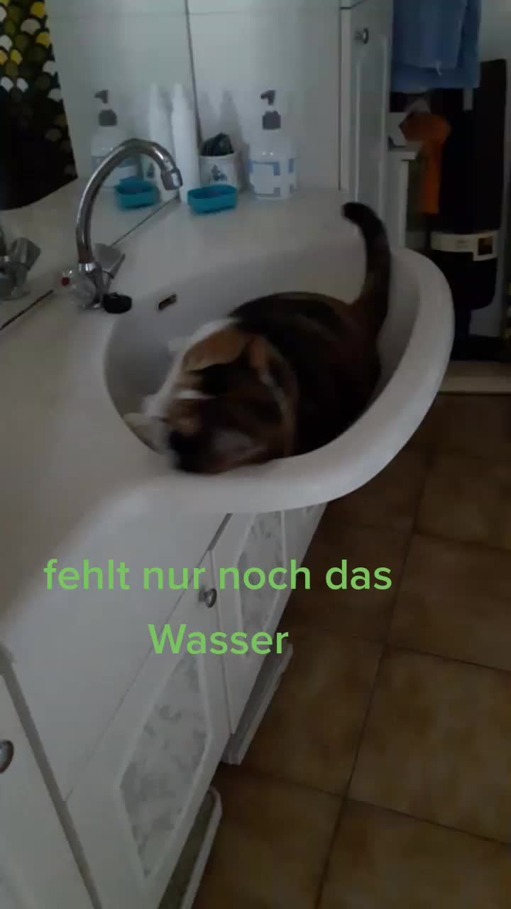 @Sabine Finkler