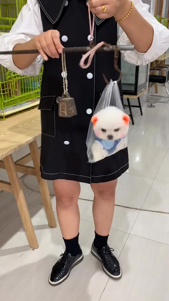 @wutao11059