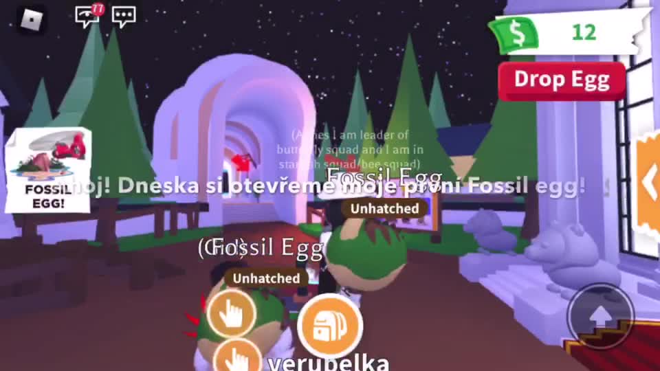 @roblox.agnes