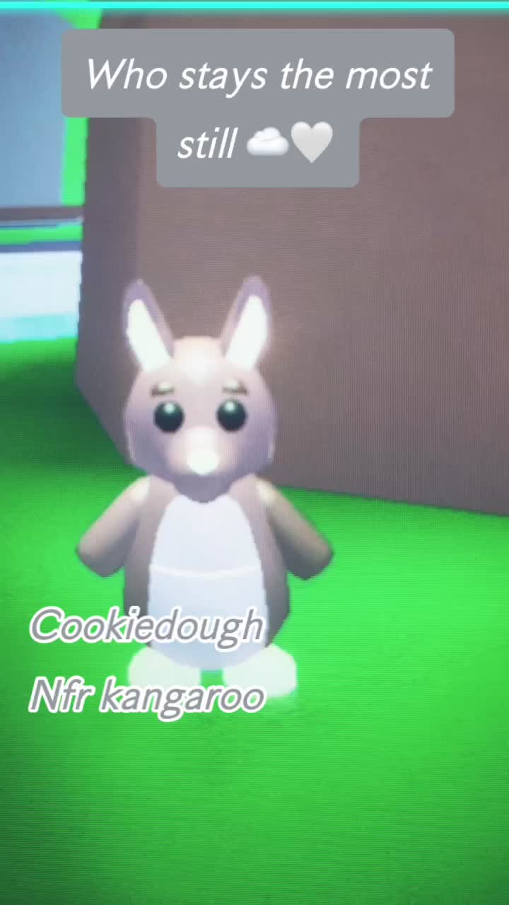 @🤍