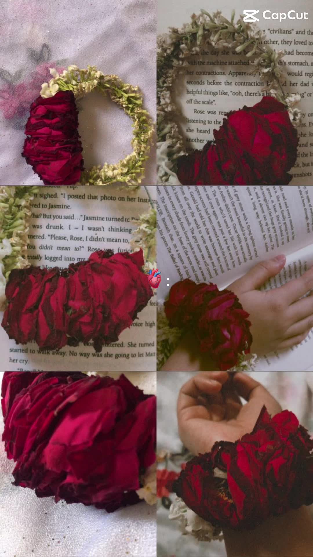 @Aesthetically~🎀