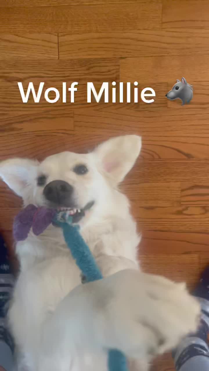 @Millie Baby