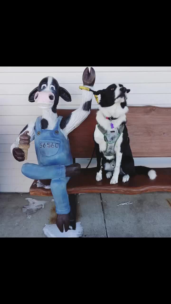 @Lux the Dog at KPPPRadio