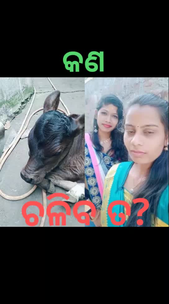 @mr. Siddharth01