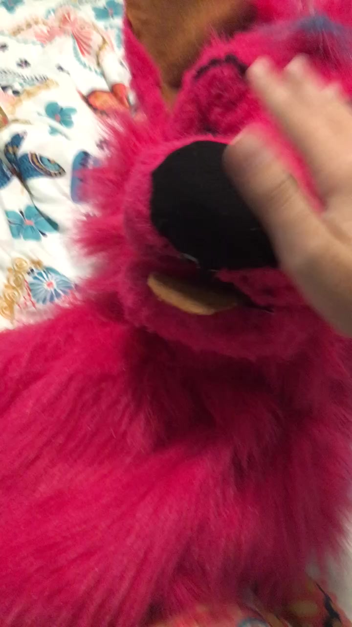 @✨UwU✨