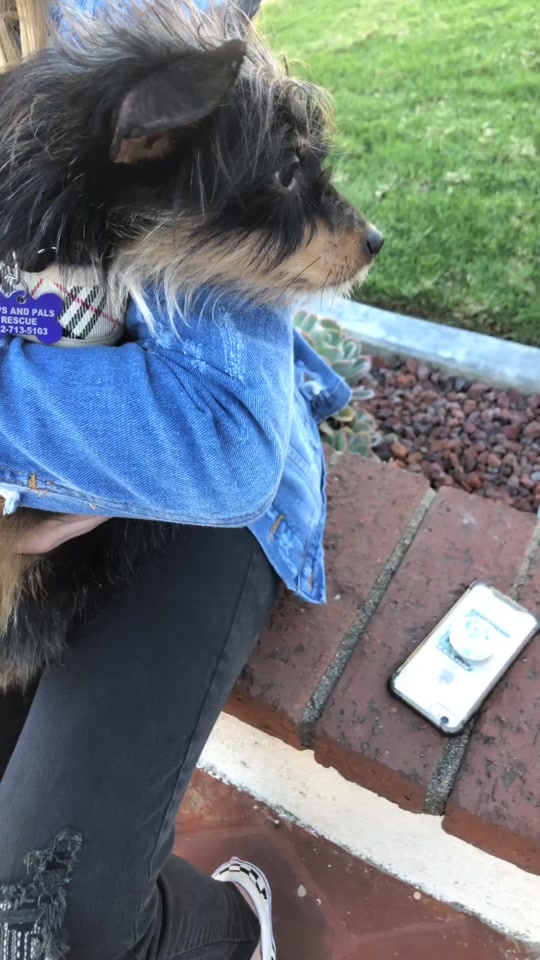 @discodogs13