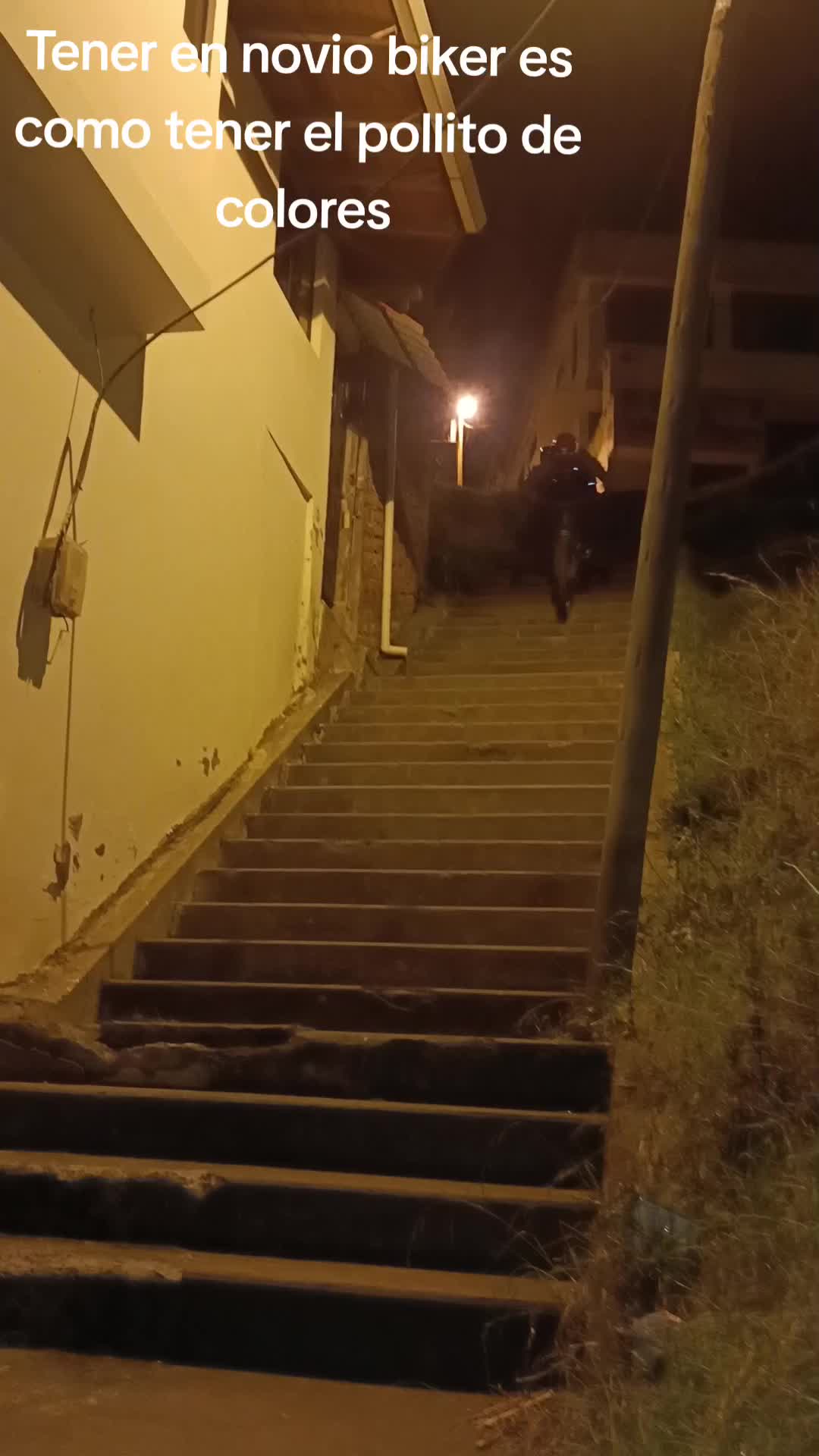 @Mateo Peñaloza