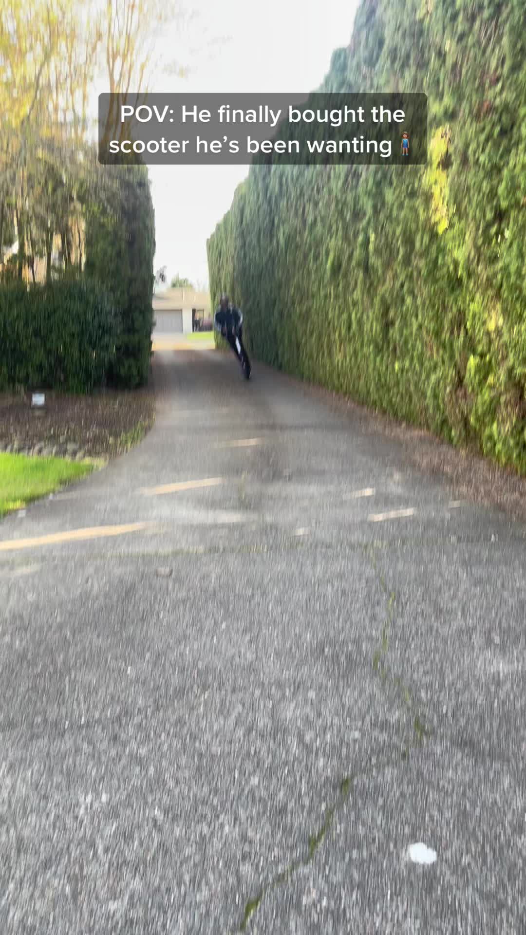 @dansterrrs