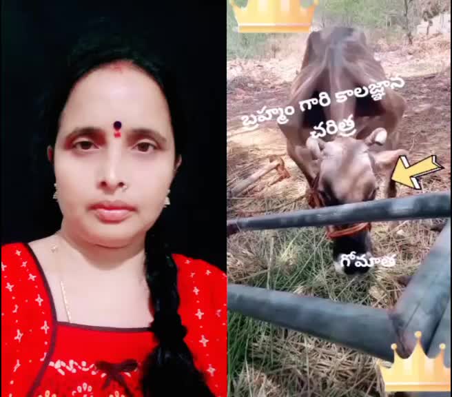 @prabha punnapu
