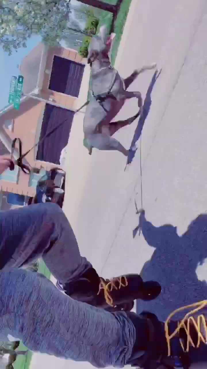 @Aj Ramirez