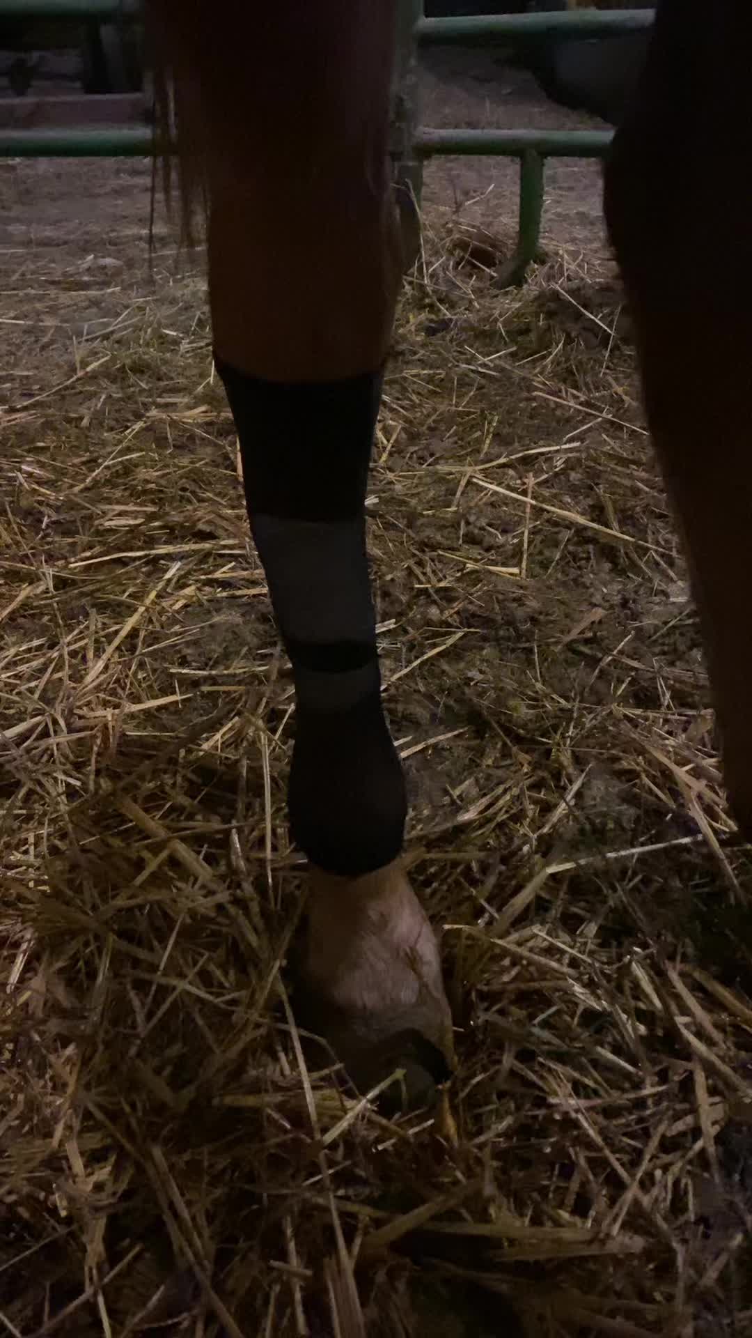 @TeesMe20