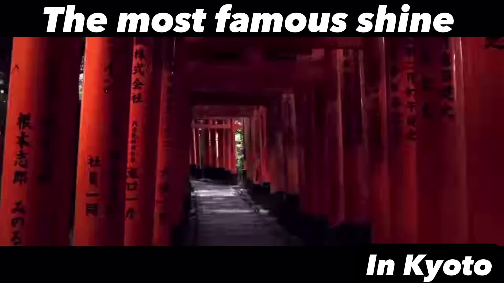 @Sheeply代表かける