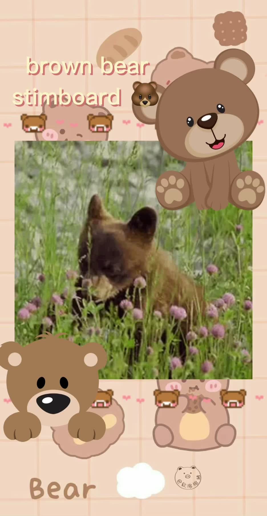 @🍥🌷 alois