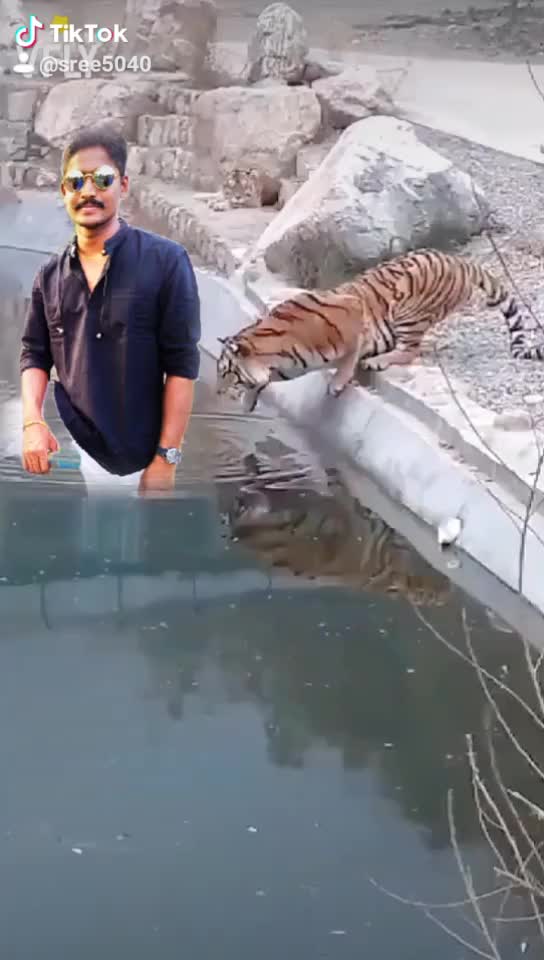 @sree5040