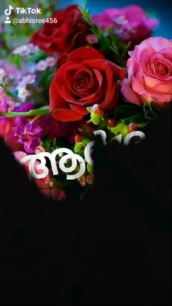 @Sreekutty K Manoj
