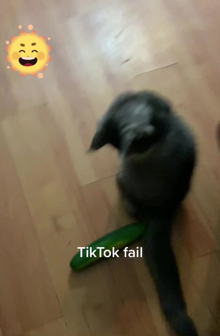 @DJangoRyder