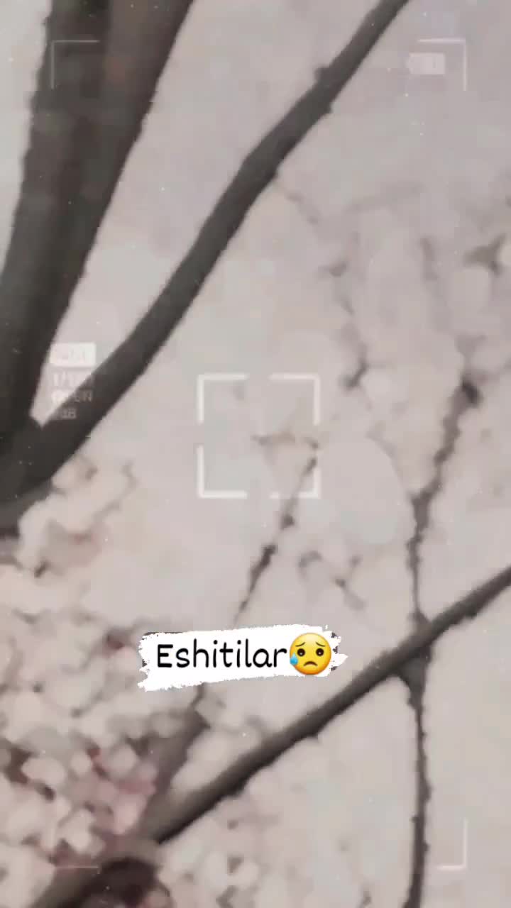 @_Eltinshox_official_01_❤️&zwj;🔥