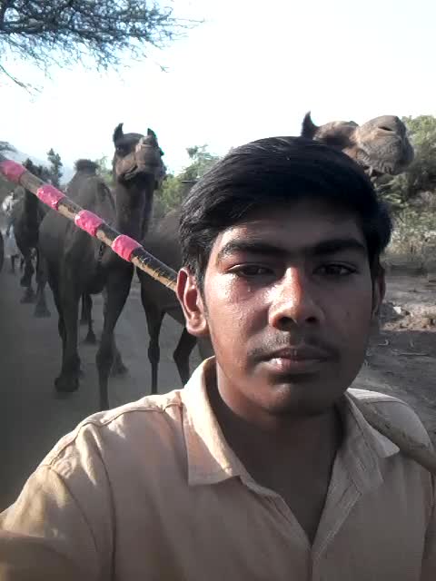 @Rutvik Desai