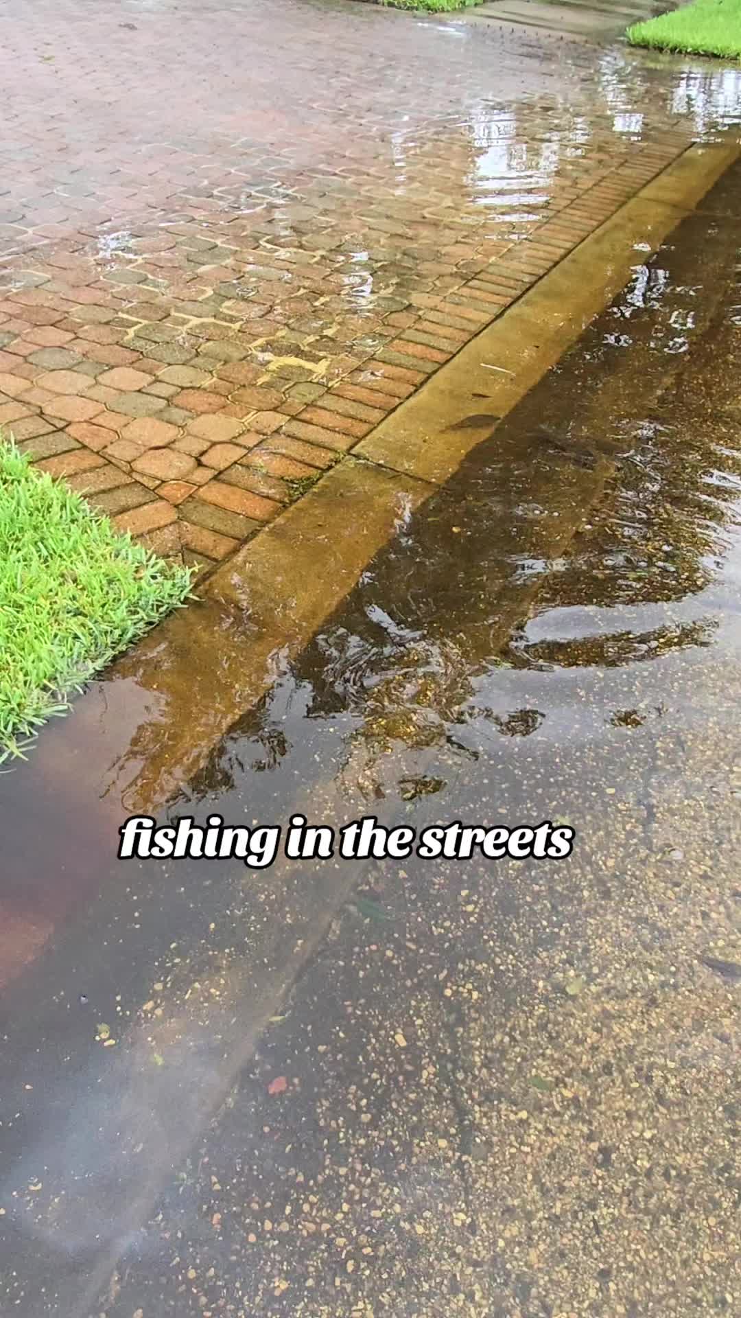 @Micky ❌️