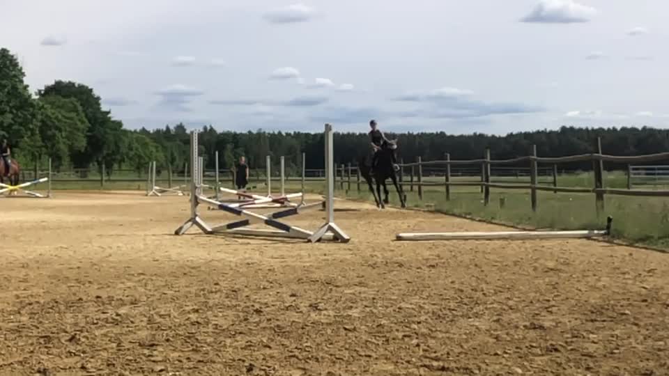 @My.soulhorse❤️🥺✌🏻