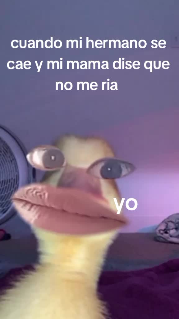 @Fernanda Coaquira❤️