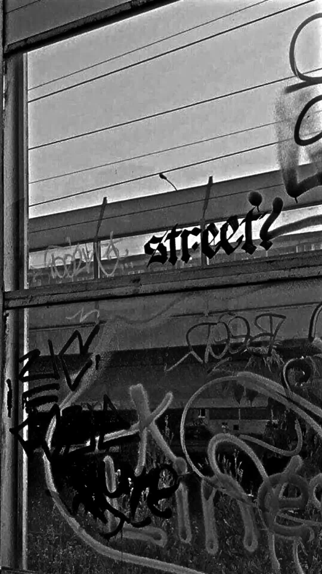 @!¡ • shabeen-a | ๐โฌ๐