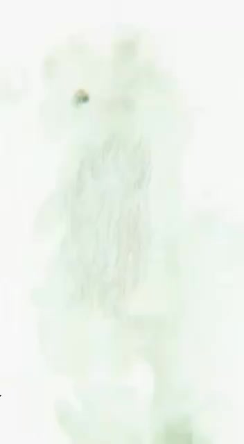 @Dasari.praveen