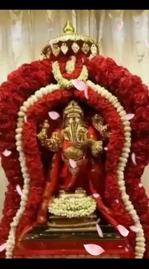 @shivashivu
