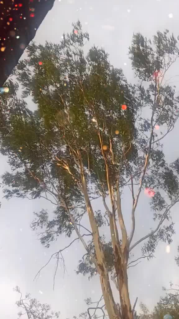 @ganesh betude patil