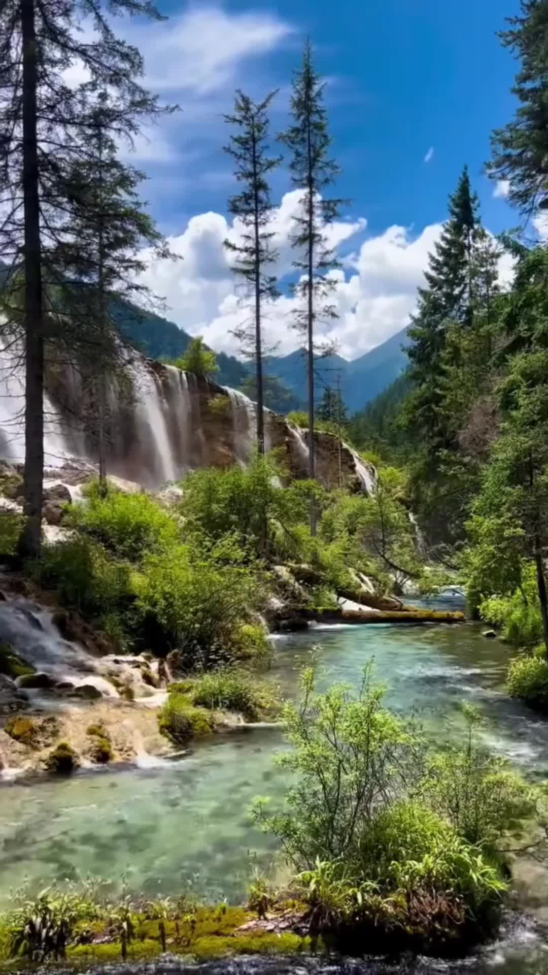 @Traveler