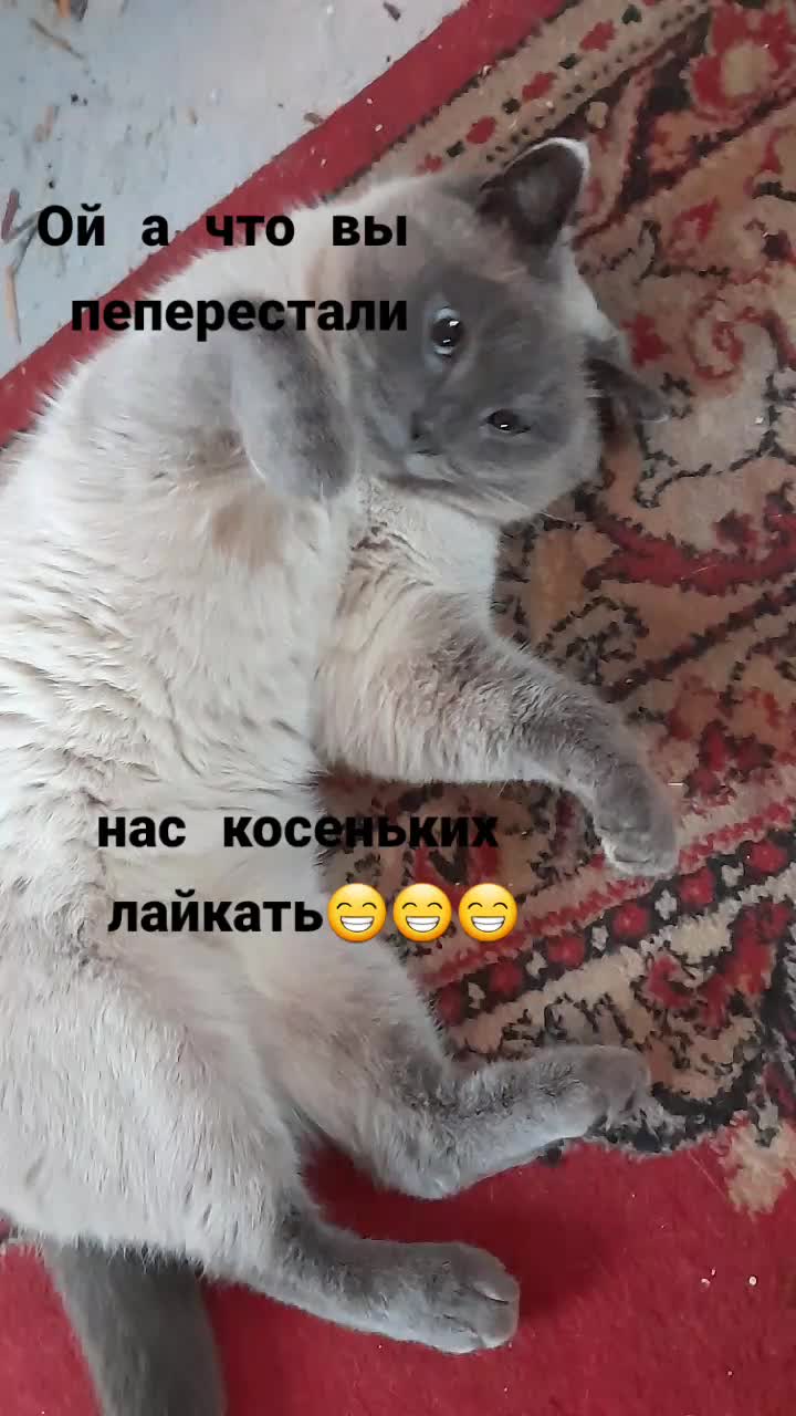 @lylya.1986