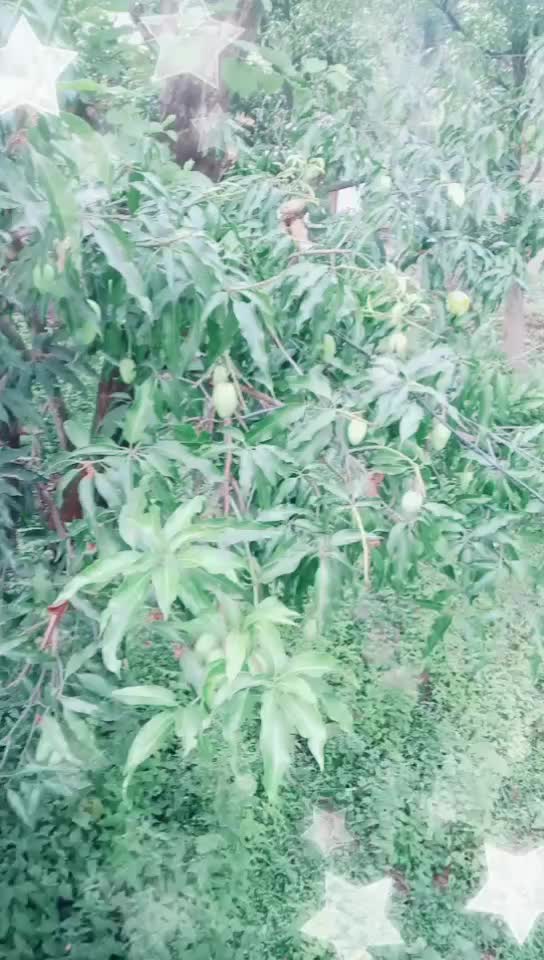 @choudharyPrince