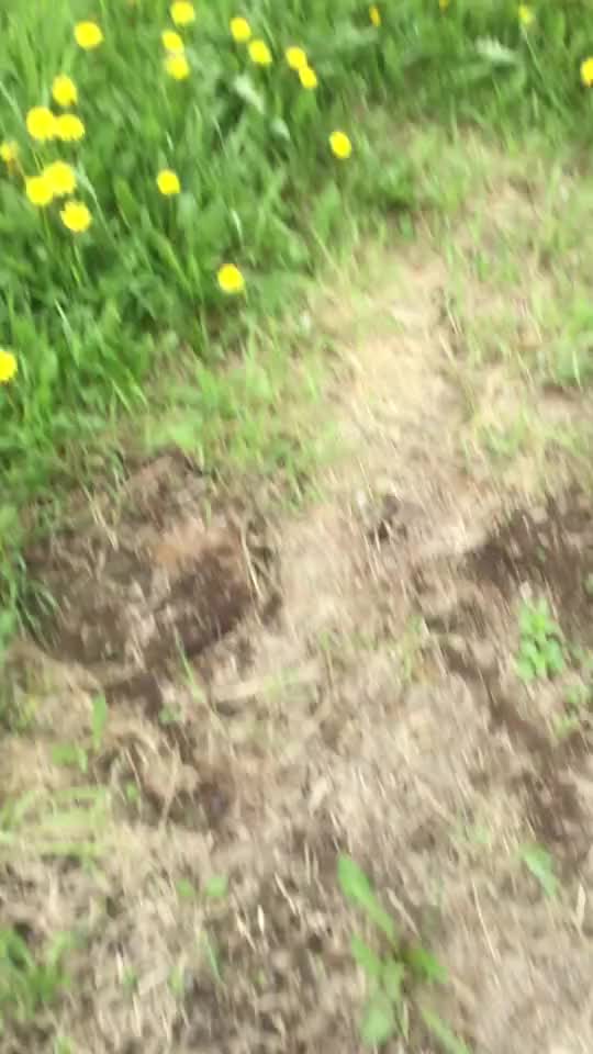 @Dylan naziel