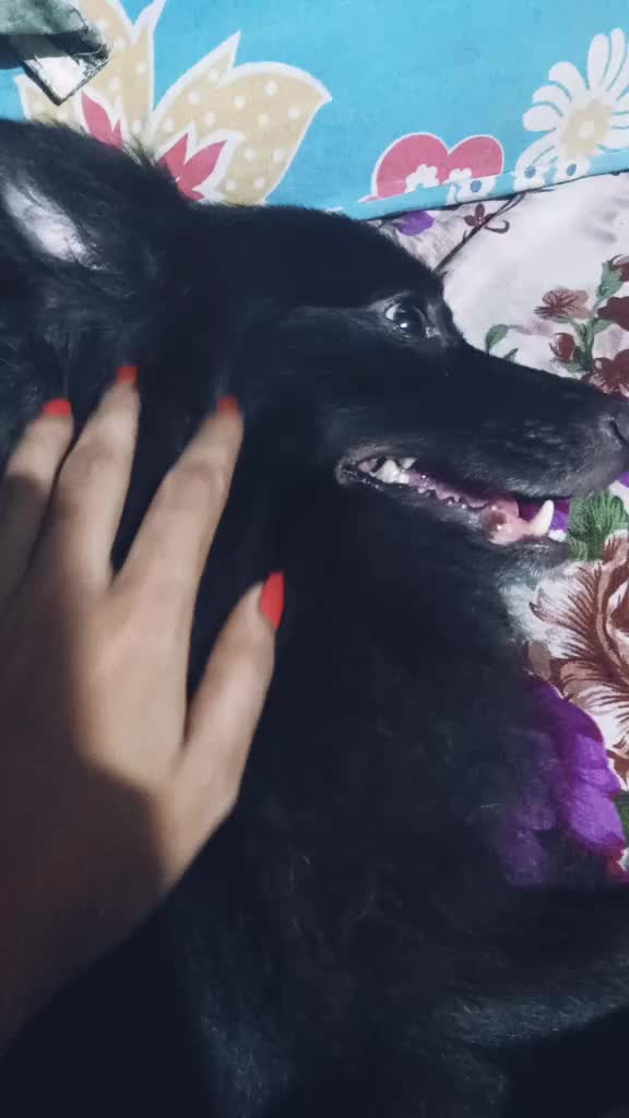 @rιya ❤❤❤❤❤