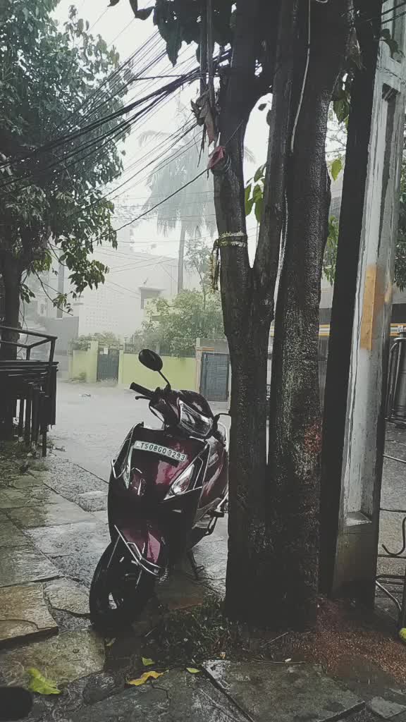 @Manisha Prasunna