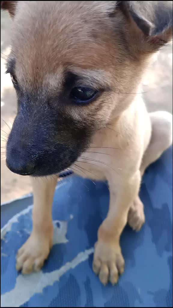@Thala jegan 007