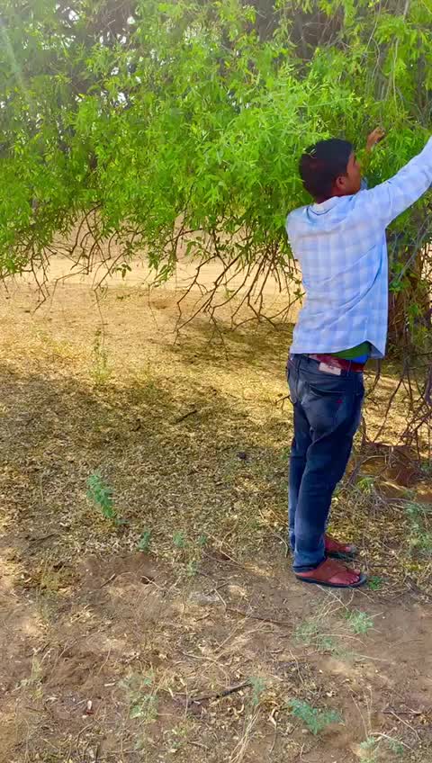 @@Dewasi Samrani