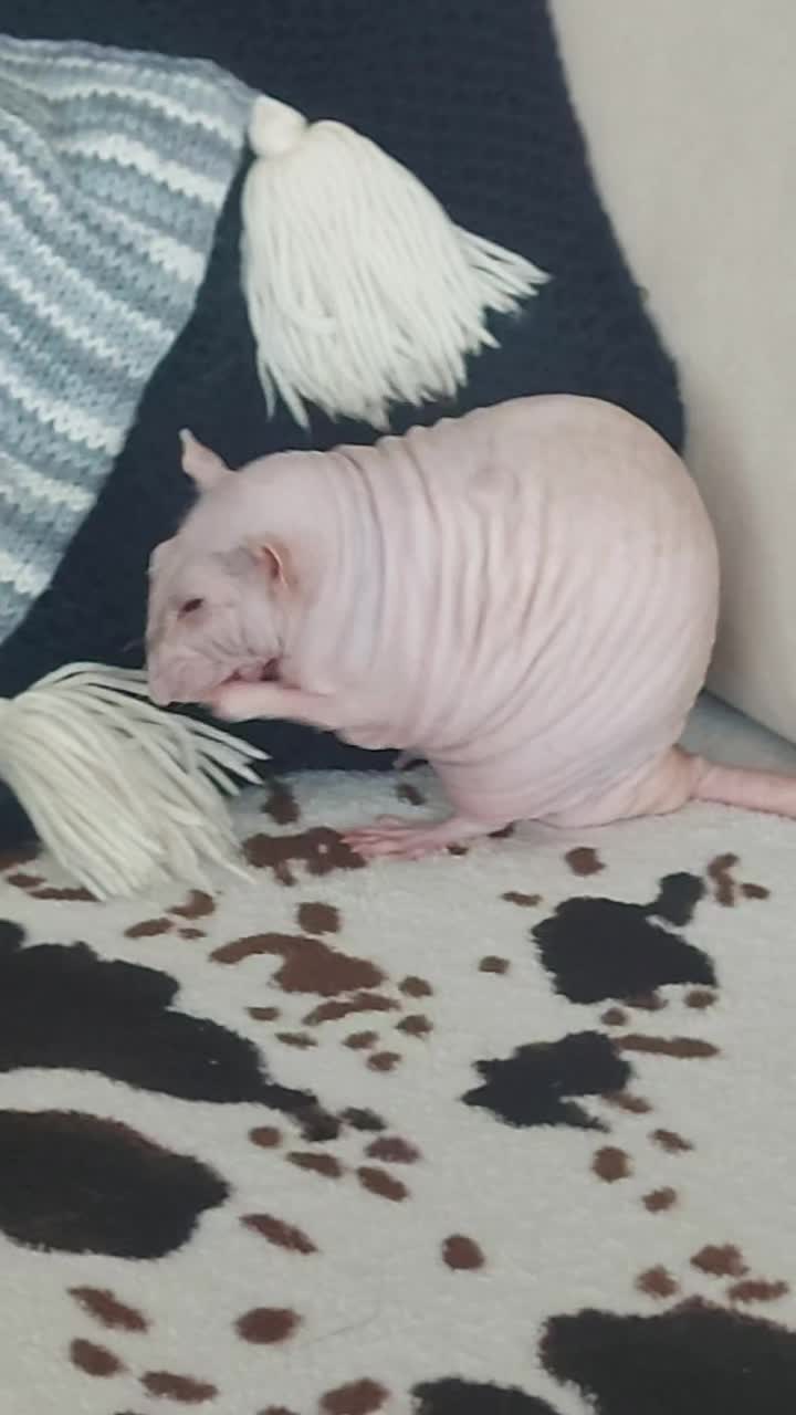 @🐌Яся Ясень🐌