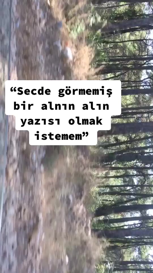 @Yanlızlar şehri