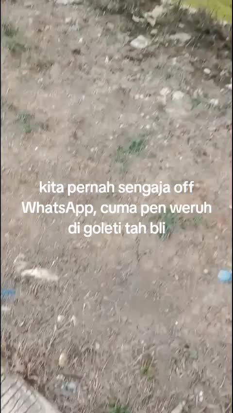 @tobrut