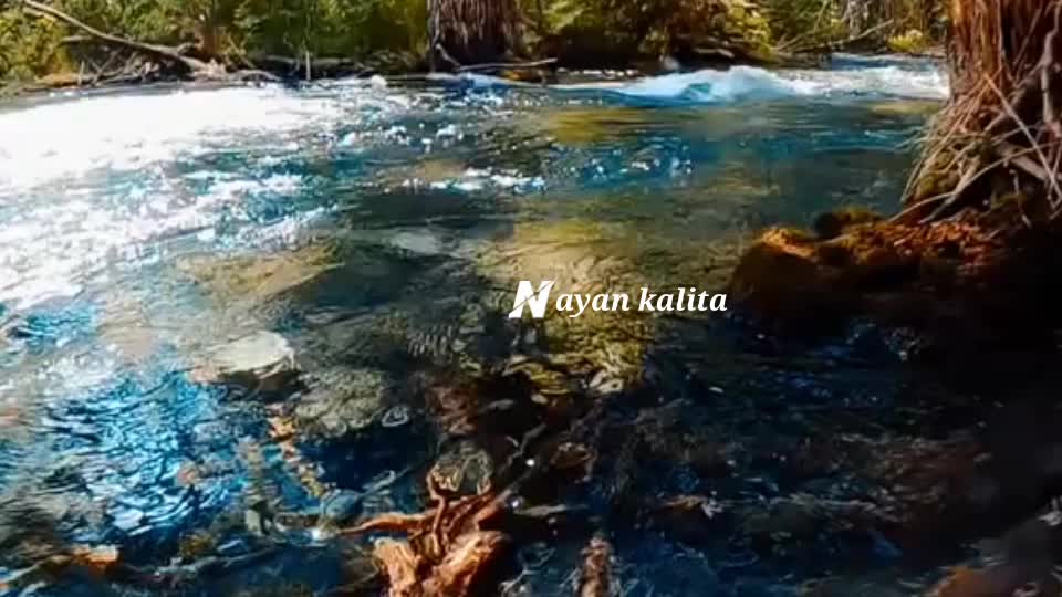 @Nayan kalita
