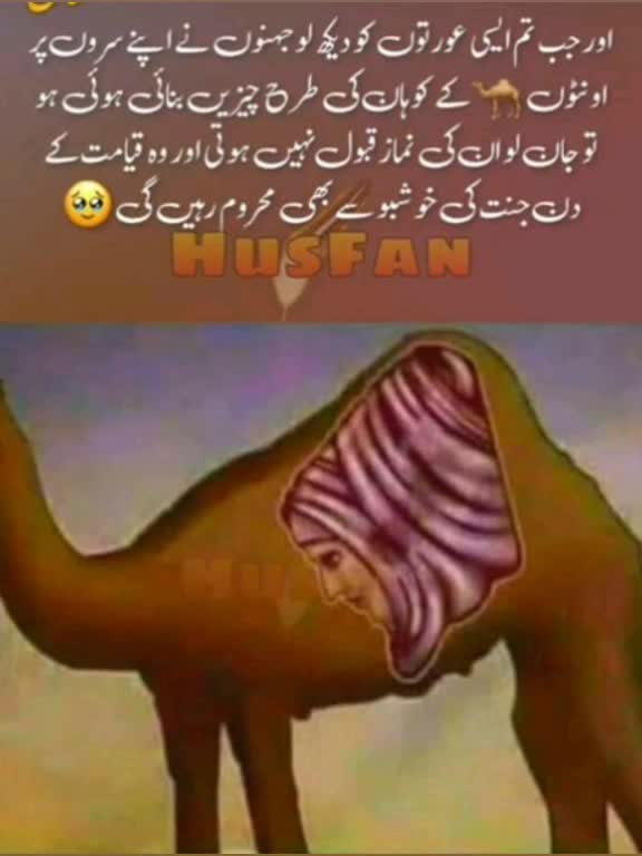 @Anila saleem