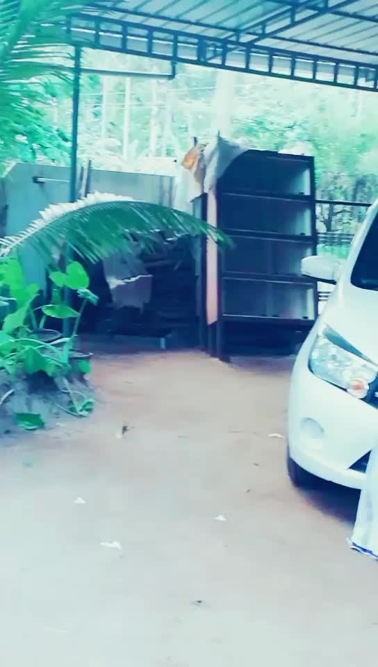 @കിളിരാജ്