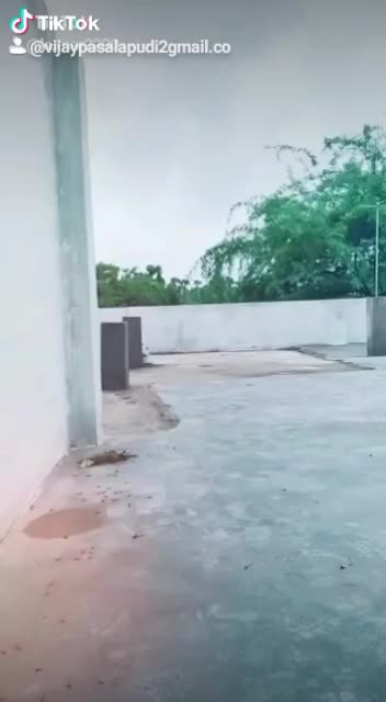 @vijaypasalapudi