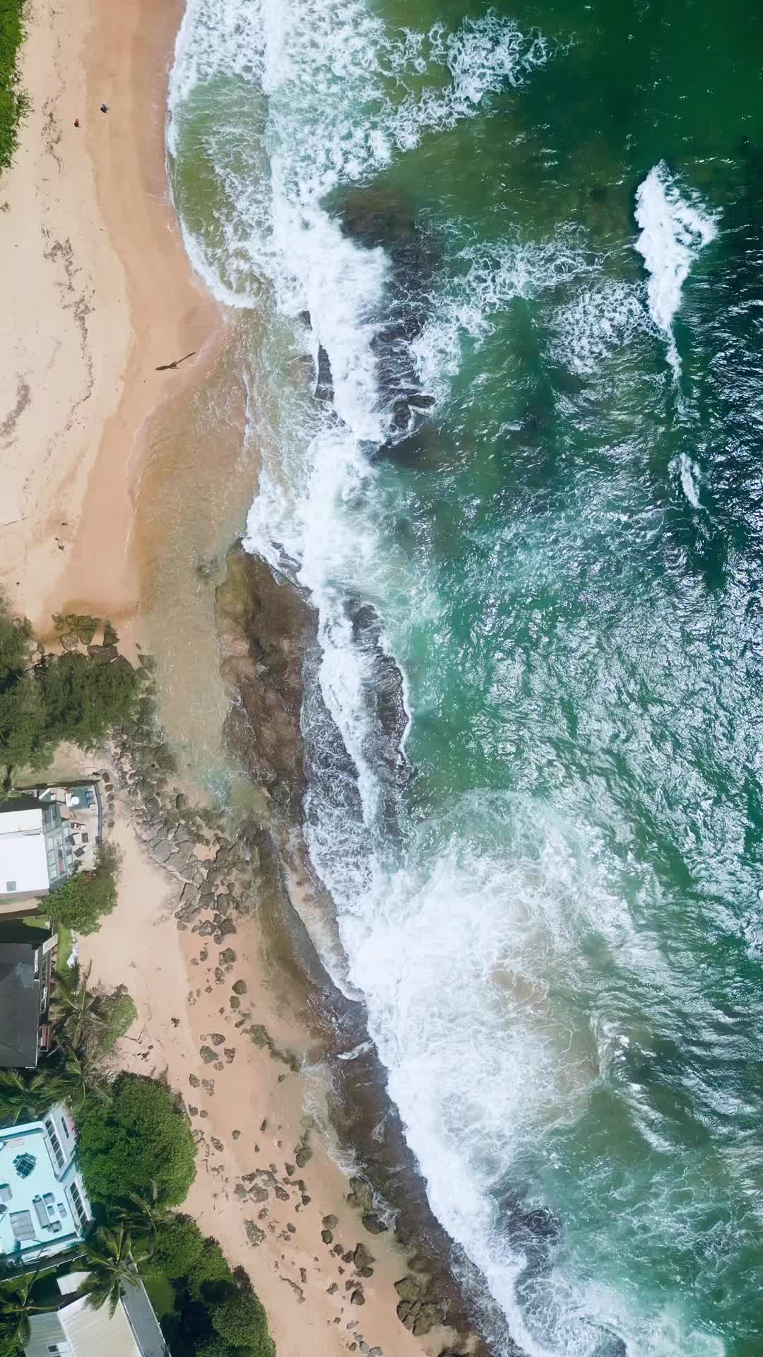 @By the sea company