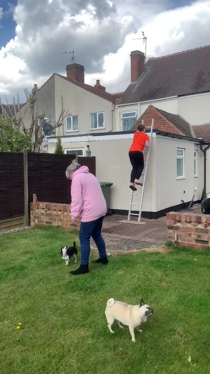 @TikTok Granny